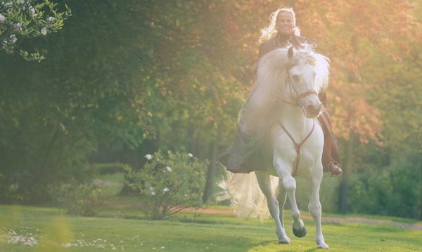 Hypo Focus Paardenfotografie