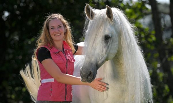 Hypo Focus Paardenfotografie