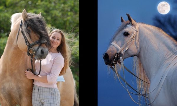 Hypo Focus Paardenfotografie