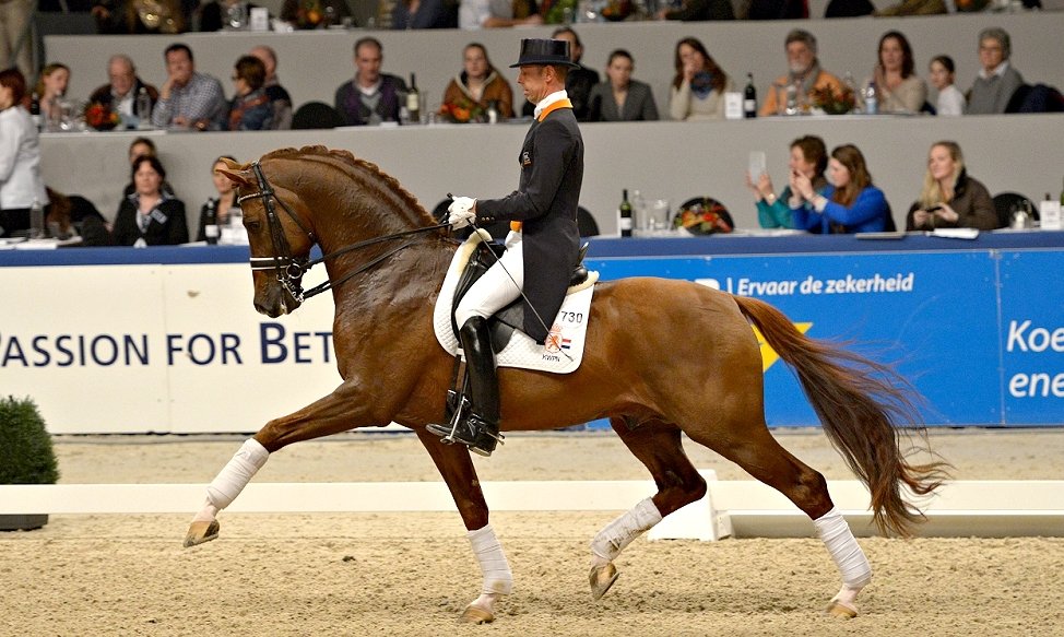 Hypo Focus Paardenfotografie