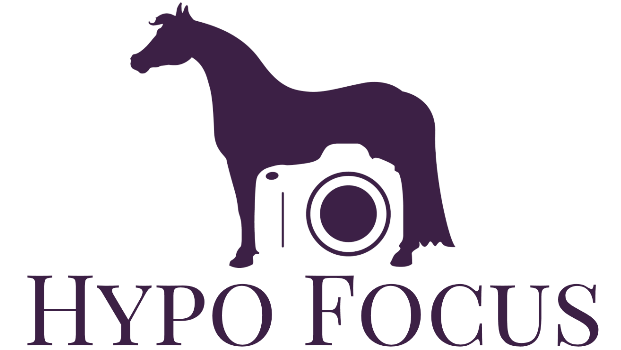 Hypo Focus Paardenfotografie