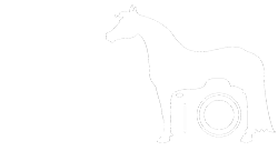 Logo van hypo focus paardenfotografie Witte versie