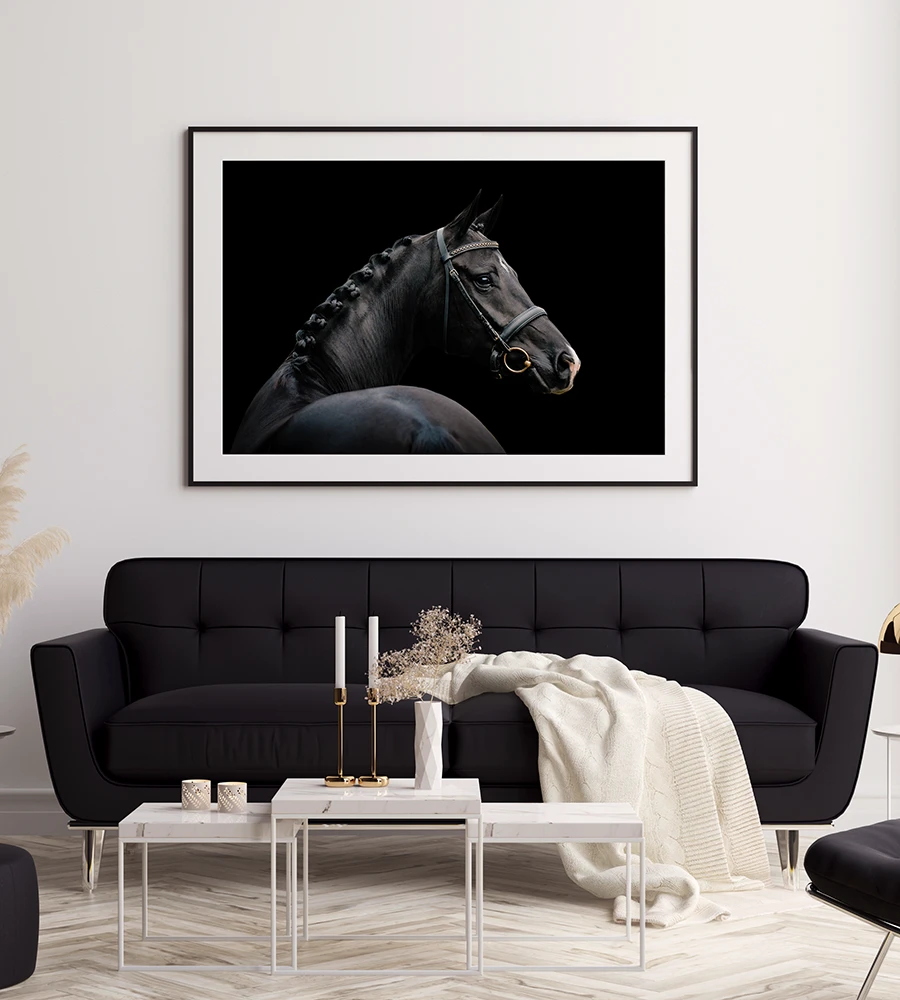 Woonkamer met blackfoto van paard ingelijst met passe-partout