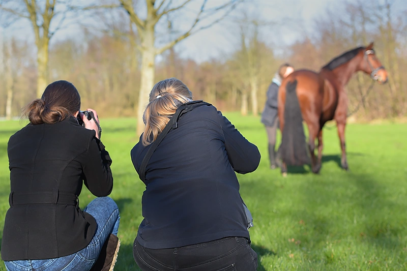 deelnemers workshop paardenfotografie
