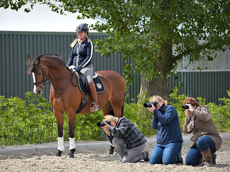 groepsworkshop paardenfotografie - cursus - workshop