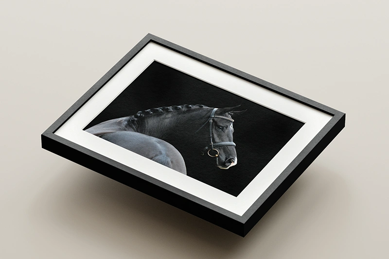 ingelijste-foto-hypofocus-paardenfotografie