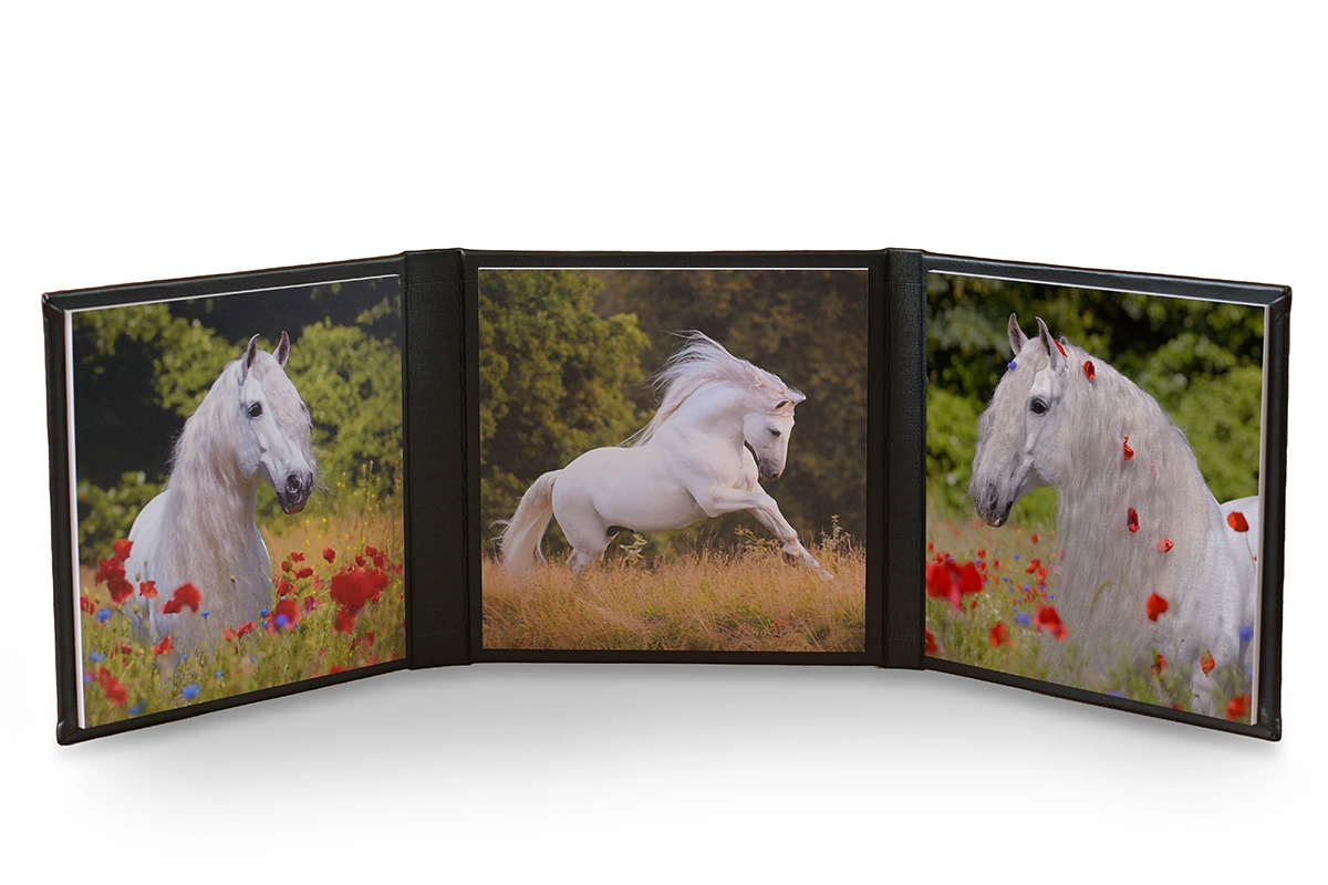 Zwart drieluik album met een wit paard in een bloemenveld