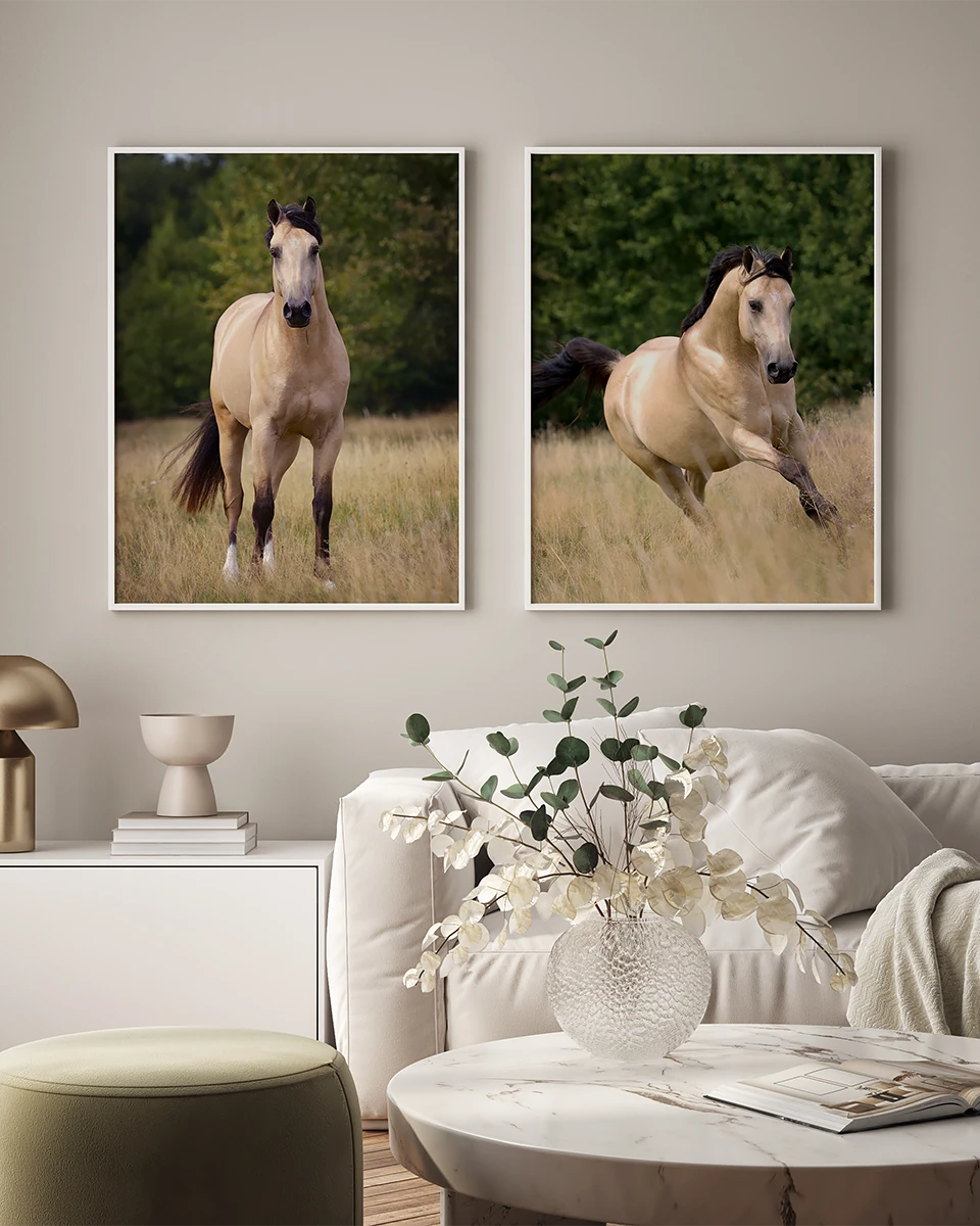 Woonkamer met twee luxe ingelijste paardenfotos