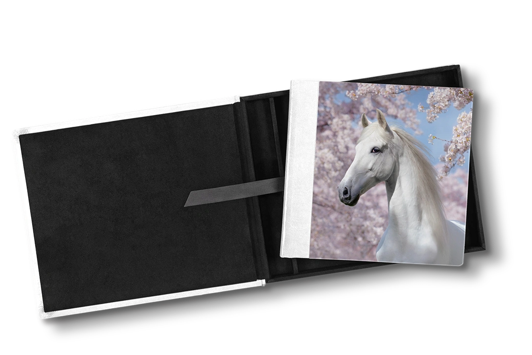 Luxe foto album met acryl cover en bewaarbox