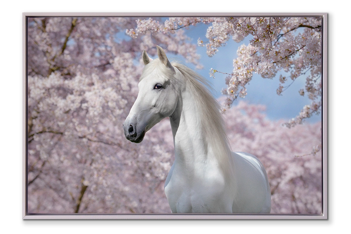 Foto op fine-art canvas in witte baklijst