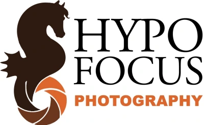 Hypo Focus Logo - Tot 2016